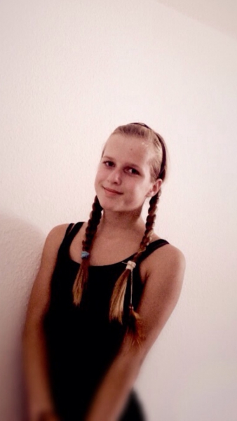 Fenster schlieen