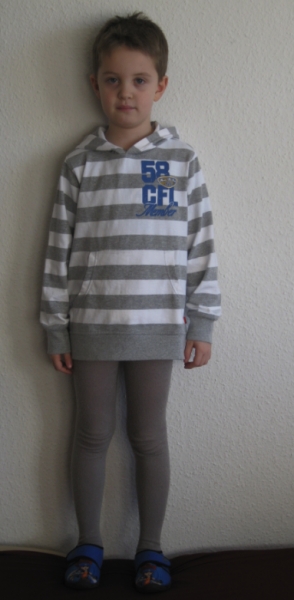 Fenster schlieen