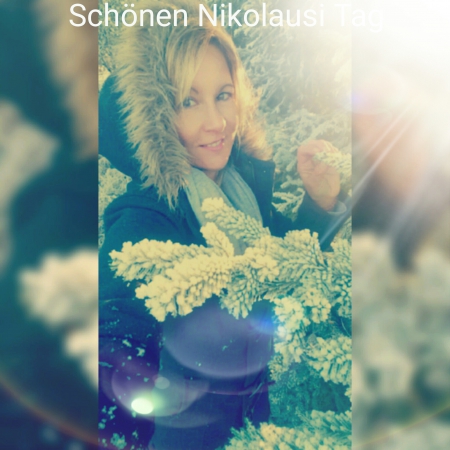 Fenster schlieen