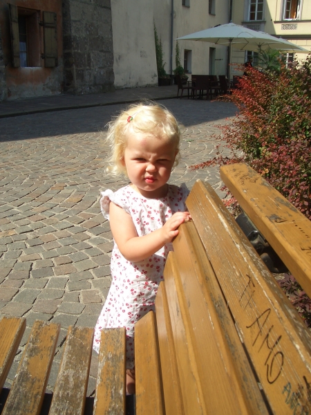 Fenster schlieen
